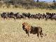 Serengeti National Park